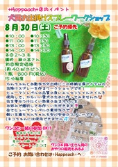 20250830緑の苺ワークショップ_page-0001