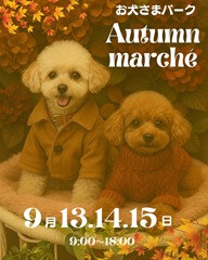 2025-08-24_16-00-49_654