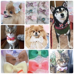 2025-09-02_16-13-51_955