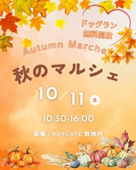 2025-09-15_17-29-03_740