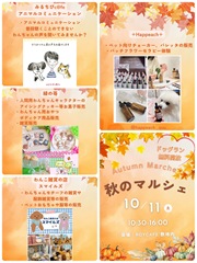 2025-09-18_11-16-19_185