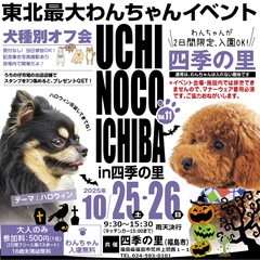 2025-09-23_19-13-01_072