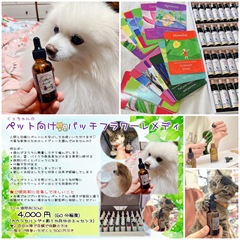 バッチフラワーレメディ-001