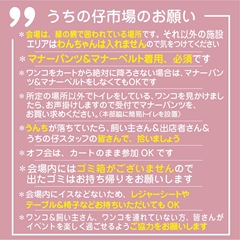 2025-09-23_19-12-56_322