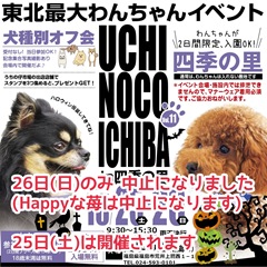 2025-10-23_16-39-15_743