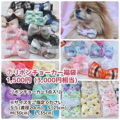 2025-12-04_22-49-45_661